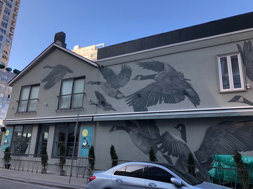 Canada Geese mural by local artist Bacon.