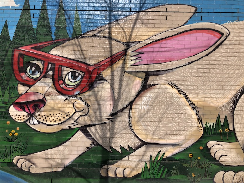 Rabbit with red glasses