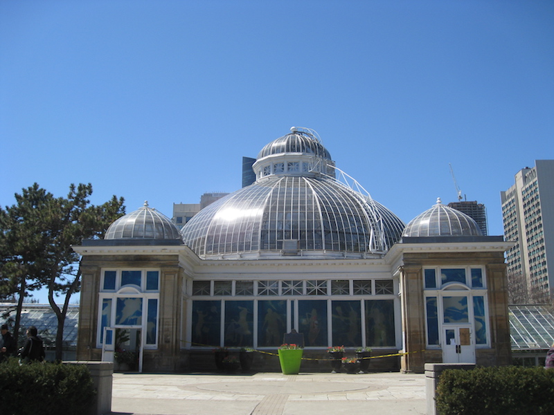 Allan Gardens Conservatory.