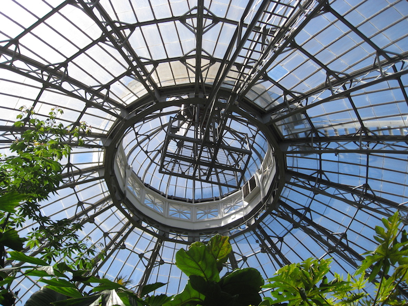Looking up the dome of Allan Gardens Conservatory.